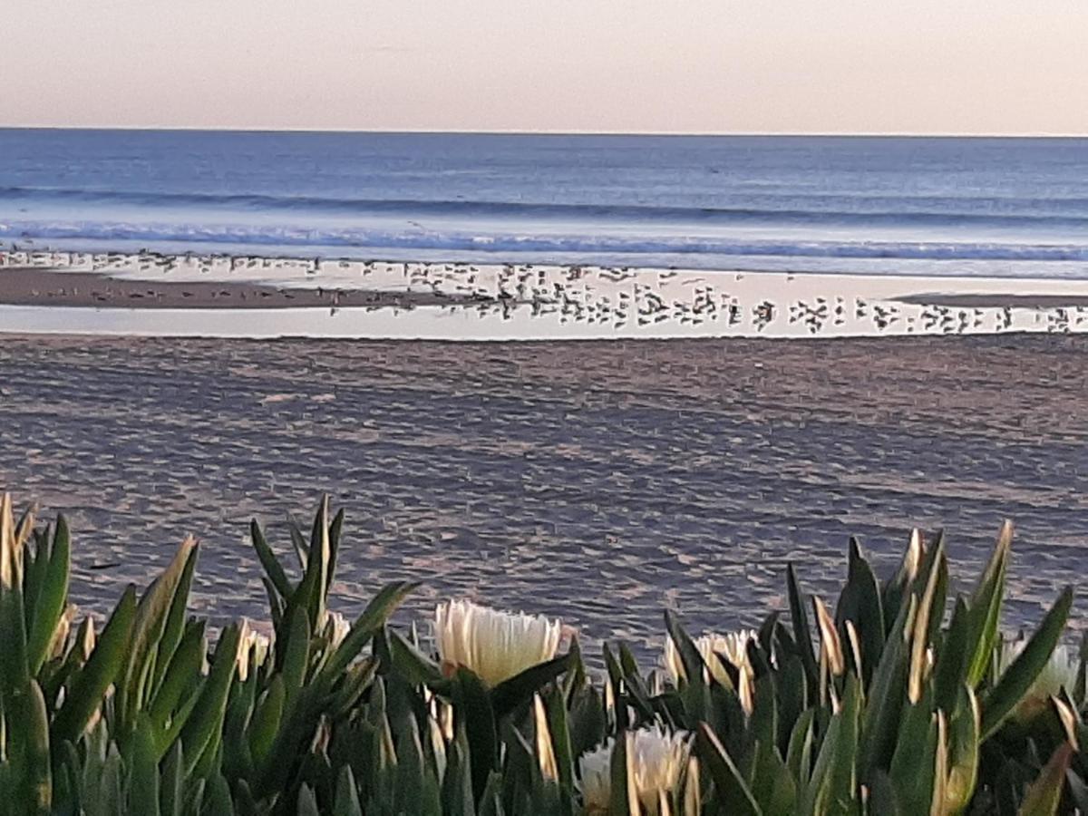 Appartamento Av. 1º De Maio Costa da Caparica Esterno foto
